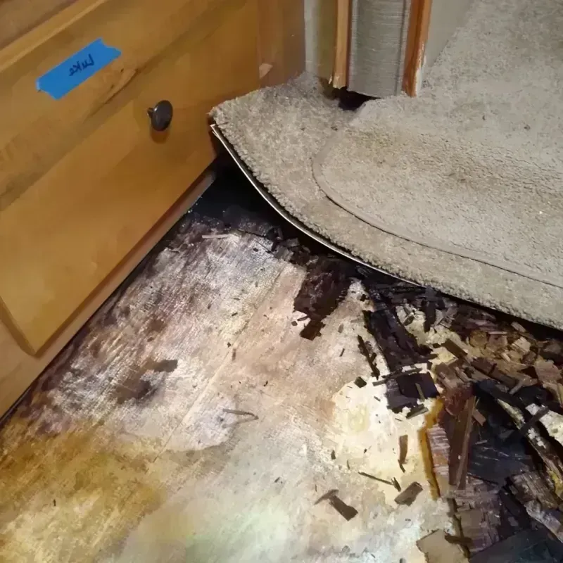 Wood Floor Water Damage in Reno, NV